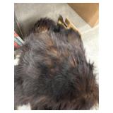 Tan Bear Hide