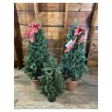 (3) Christmas Trees