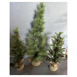 (3) Christmas Trees