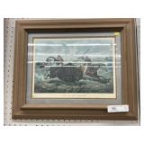 Framed Buffalo Lithograph