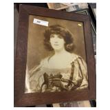 Oak Framed Print