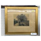 Wallace Nutting Framed Print