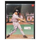 Cal Ripken Jr. Autographed Photo w/ COA
