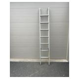 Aluminum Extension Ladder with 2 Sections