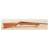 Ruger 10/22 .22 LR Rifle