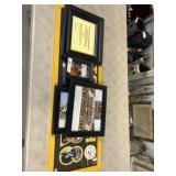 Grp. Pittsburgh Steelers Framed Collects.