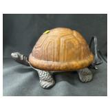 Turtle From Accent Light