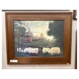 Framed Print of Sheep