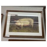 James Wyeth Framed Print of Pig