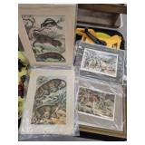 Asst. Locomotive & Animal Prints