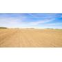 74.11 Acres m/l in Nobles County, MN
