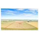 Tract 3 - 79.88 Acres in Franklin Twp, Sec. 25