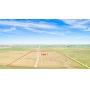 564.04 Acres in O'Brien County, Iowa