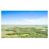 83 Acres m/l in Douglas Twp, Clay County, IA