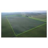 Tract 2-80 Acres m/l in Lynn Twp, Sec. 32