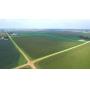 147 Acres m/l in Sioux County, Iowa