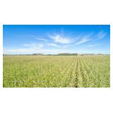 Tract 3 -159.48 Acres in Lee Twp, Sec 10