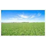 Tract 1 - 65.74 Acres in Lee Twp., Sec. 10