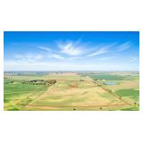 Tract 2 - 82.67 Acres in Lee Twp., Sec. 10