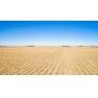 320 Acres m/l in Cherokee County, Iowa