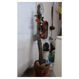 DRIED CACTUS