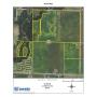 Land Auction 317 Acres MOL