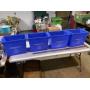 4 recycling bins