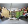 Coin & Jewelry Auction