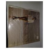 Disque vinyle 33 tours A-1