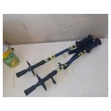 Batons de marche