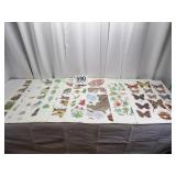 Department of Agriculture Prints