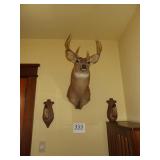 Deer Head Mount w/ Feet