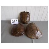 3 Snapping Turtle Shells