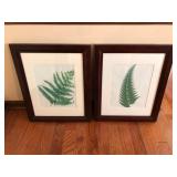 Framed fern art print