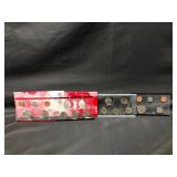 1999 P&D Mint set