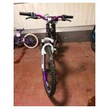 Womens Whirlwind 26 Inch Mountain Bike