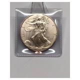 1996 American Silver Eagle Key Date
