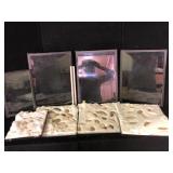 Arrowhead Collection in Riker Display Cases