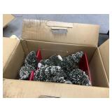 Box of Mini Christmas Trees