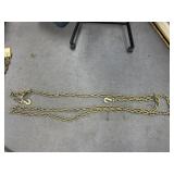 Log Chain w/2 Hooks ~19ft