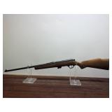 Glenfield 20, 22LR