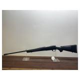 Weatherby Vanguard, 300 Weatherby by Mag