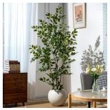 Artificial Ficus Tree - Indoor 6Ft. Potted