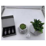Myla James Artificial Potted Succulent Reed Diffus