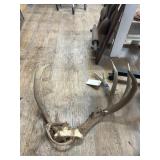 Pair of Antlers
