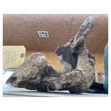 Driftwood Dï¿½cor