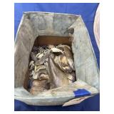 Box of Seashells