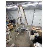 6ft Alum Step Ladder