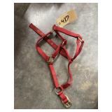 Small Horse Halter