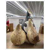 3 Gourds